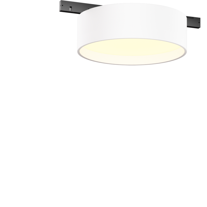 Трековый светильник MAYTONI ZON LEVITY TR189-1-12W3K-BW
